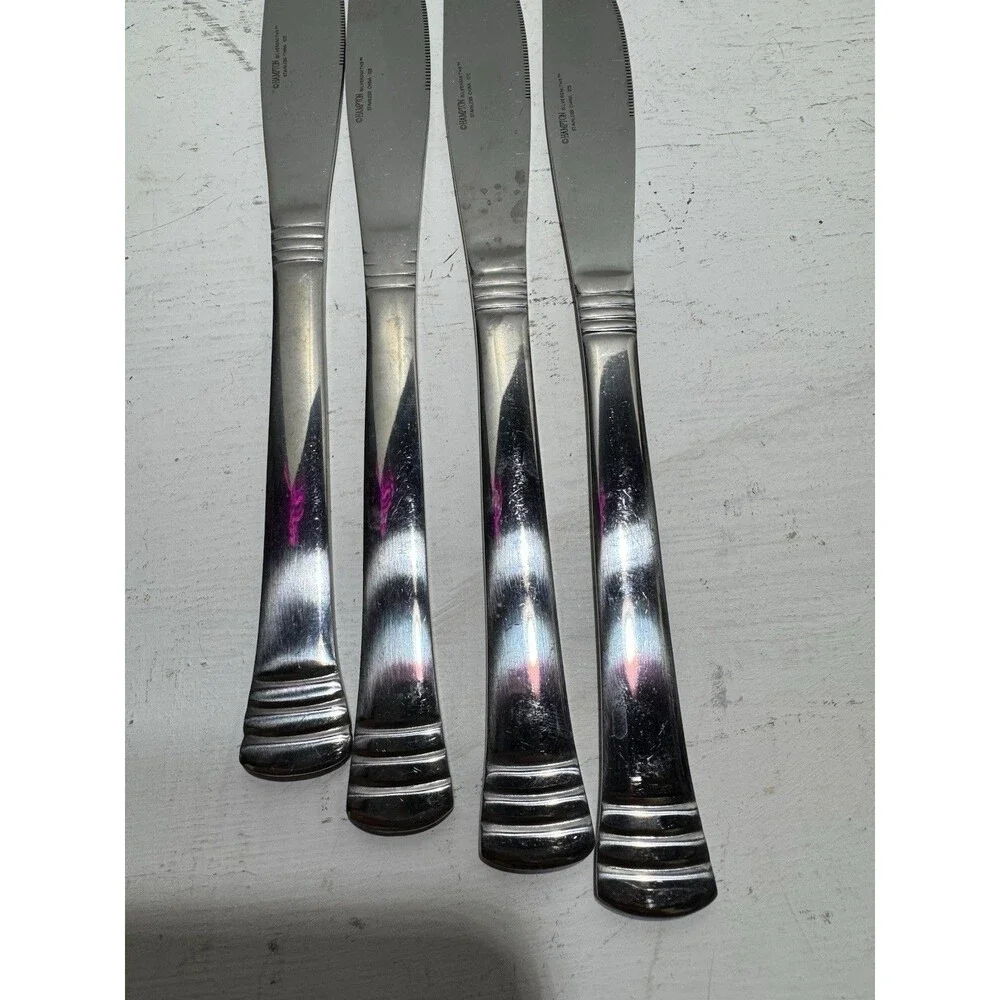 Hampton Silversmiths Stainless Flatware Lot Of 19 And 2 Cambridge